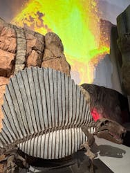 印象派オルセー展×大絶滅展に投稿された画像（2026/2/10）