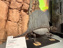 印象派オルセー展×大絶滅展に投稿された画像（2026/2/10）