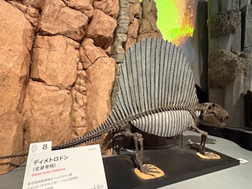 印象派オルセー展×大絶滅展に投稿された画像（2026/2/10）