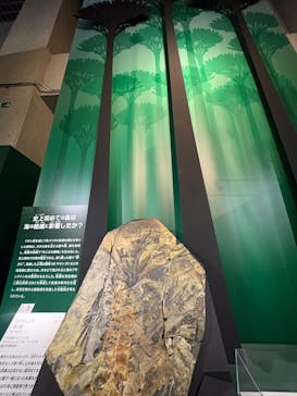 印象派オルセー展×大絶滅展に投稿された画像（2026/2/10）