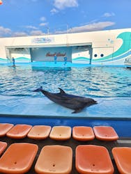 南知多ビーチランド＆南知多おもちゃ王国に投稿された画像（2026/2/10）