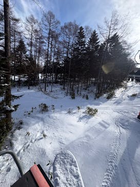 湯の丸スキー場に投稿された画像（2026/2/10）