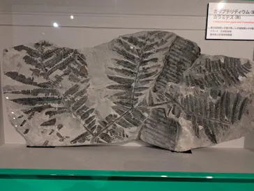 特別展「大絶滅展―生命史のビッグファイブ」に投稿された画像（2026/2/10）