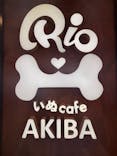 いぬカフェRio 秋葉原店に投稿された画像（2026/2/10）