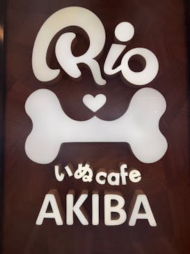 いぬカフェRio 秋葉原店に投稿された画像（2026/2/10）