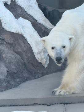 恩賜上野動物園に投稿された画像（2026/2/10）