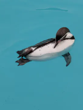 葛西臨海水族園に投稿された画像（2026/2/10）