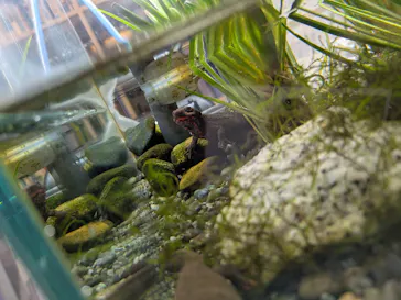 葛西臨海水族園に投稿された画像（2026/2/10）