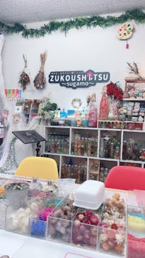 ずこうしつ〜sugamo〜に投稿された画像（2026/2/10）