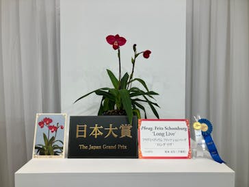 世界らん展2026-花と緑の祭典-に投稿された画像（2026/2/10）