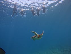 マーレ石垣島に投稿された画像（2026/2/10）