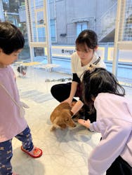 いぬカフェRio 原宿竹下通り店に投稿された画像（2026/2/10）