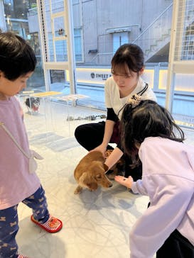 いぬカフェRio 原宿竹下通り店に投稿された画像（2026/2/10）