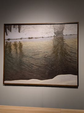 スウェーデン絵画展 北欧の光、日常のかがやき(東京都美術館)に投稿された画像（2026/2/10）