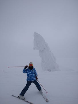 阿仁スキー場に投稿された画像（2026/2/10）
