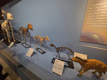 特別展「大絶滅展―生命史のビッグファイブ」に投稿された画像（2026/2/10）