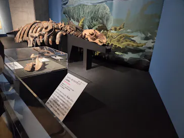特別展「大絶滅展―生命史のビッグファイブ」に投稿された画像（2026/2/10）