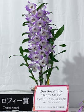 世界らん展2026-花と緑の祭典-に投稿された画像（2026/2/10）