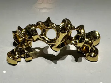 NAKED meets ガウディ展に投稿された画像（2026/2/10）