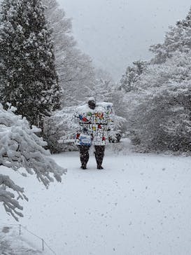 彫刻の森美術館に投稿された画像（2026/2/10）