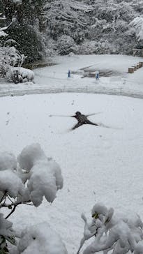 彫刻の森美術館に投稿された画像（2026/2/10）