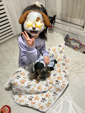 いぬカフェRio 原宿竹下通り店に投稿された画像（2026/2/10）