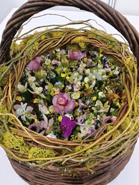 世界らん展2026-花と緑の祭典-に投稿された画像（2026/2/10）