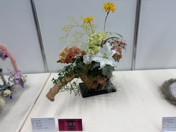 世界らん展2026-花と緑の祭典-に投稿された画像（2026/2/10）