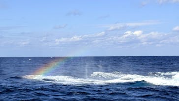 ネイティブシー奄美に投稿された画像（2026/2/11）