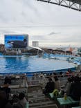 名古屋港水族館に投稿された画像（2026/2/11）