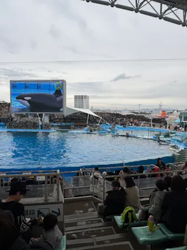 名古屋港水族館に投稿された画像（2026/2/11）