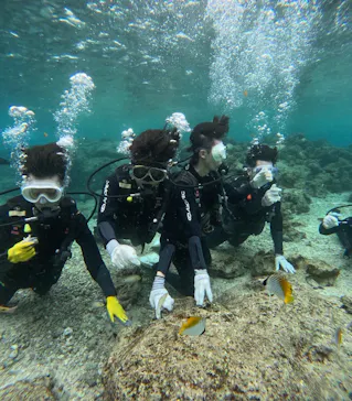 武藤潜水に投稿された画像（2026/2/11）