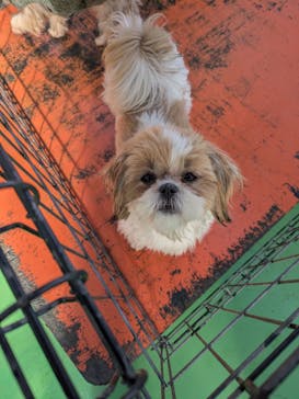 つくばわんわんランドに投稿された画像（2026/2/11）