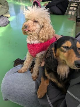 つくばわんわんランドに投稿された画像（2026/2/11）