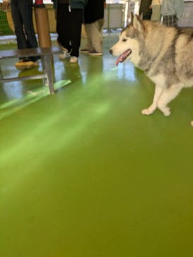 つくばわんわんランドに投稿された画像（2026/2/11）