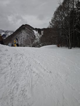 水上高原 藤原スキー場に投稿された画像（2026/2/11）