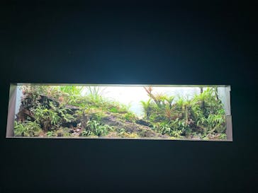 AOAO SAPPOROに投稿された画像（2026/2/11）