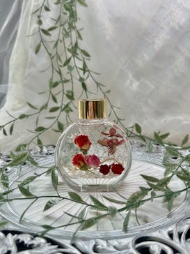 ずこうしつ〜sugamo〜に投稿された画像（2026/2/11）