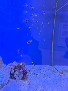 名古屋港水族館に投稿された画像（2026/2/11）