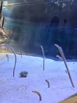 名古屋港水族館に投稿された画像（2026/2/11）