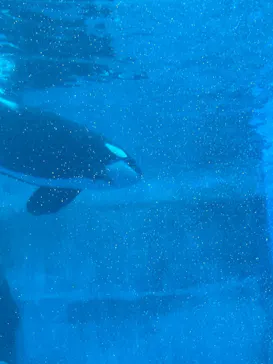 名古屋港水族館に投稿された画像（2026/2/11）