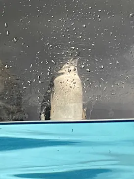 名古屋港水族館に投稿された画像（2026/2/11）