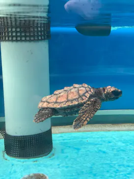 名古屋港水族館に投稿された画像（2026/2/11）