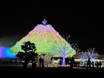 東京メガイルミに投稿された画像（2026/2/11）
