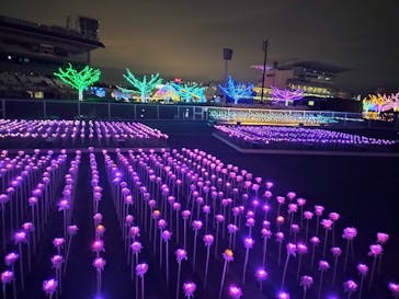 東京メガイルミに投稿された画像（2026/2/11）