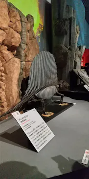 印象派オルセー展×大絶滅展に投稿された画像（2026/2/11）