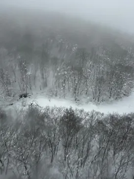 蔵王ロープウェイに投稿された画像（2026/2/11）