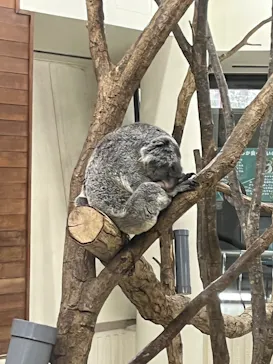 こども動物自然公園（埼玉県公園緑地協会）に投稿された画像（2026/2/11）
