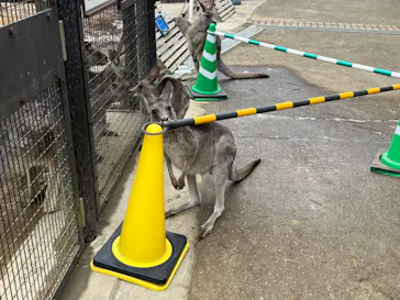 こども動物自然公園（埼玉県公園緑地協会）に投稿された画像（2026/2/11）