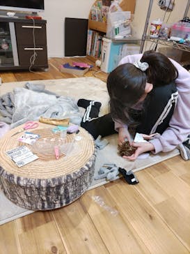 リカちゃんの ON/OFF 展　大阪に投稿された画像（2026/2/11）